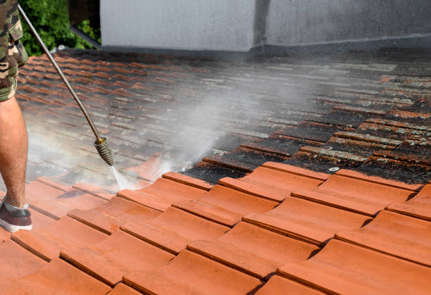 Best Garage Pressure Washing  in Archer, FL